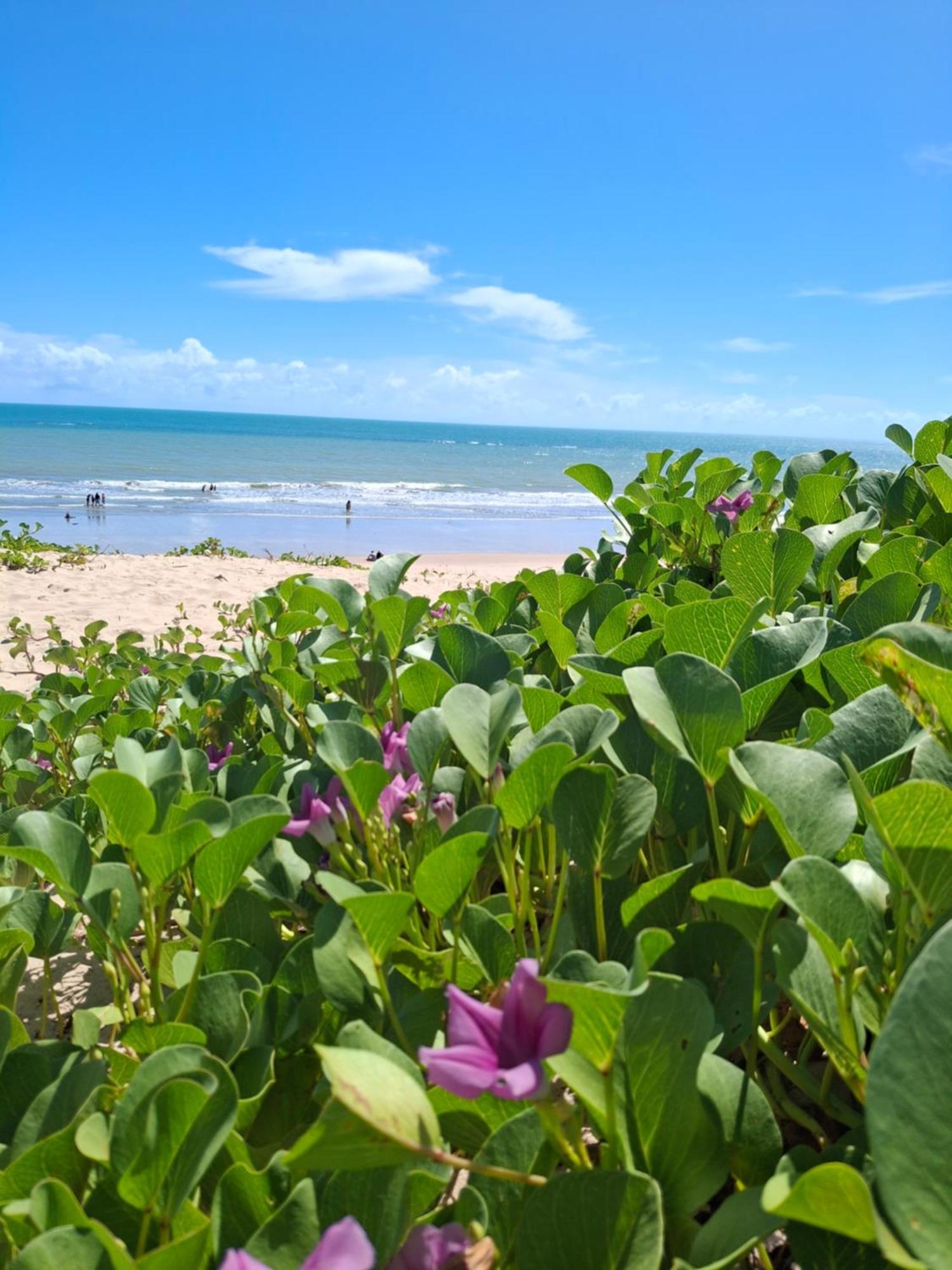 Manga Rosa Hospedagem Canoa Quebrada Exteriör bild
