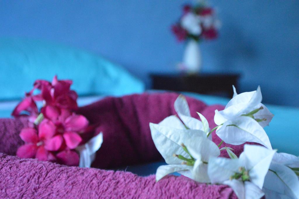 Manga Rosa Hospedagem Canoa Quebrada Rum bild
